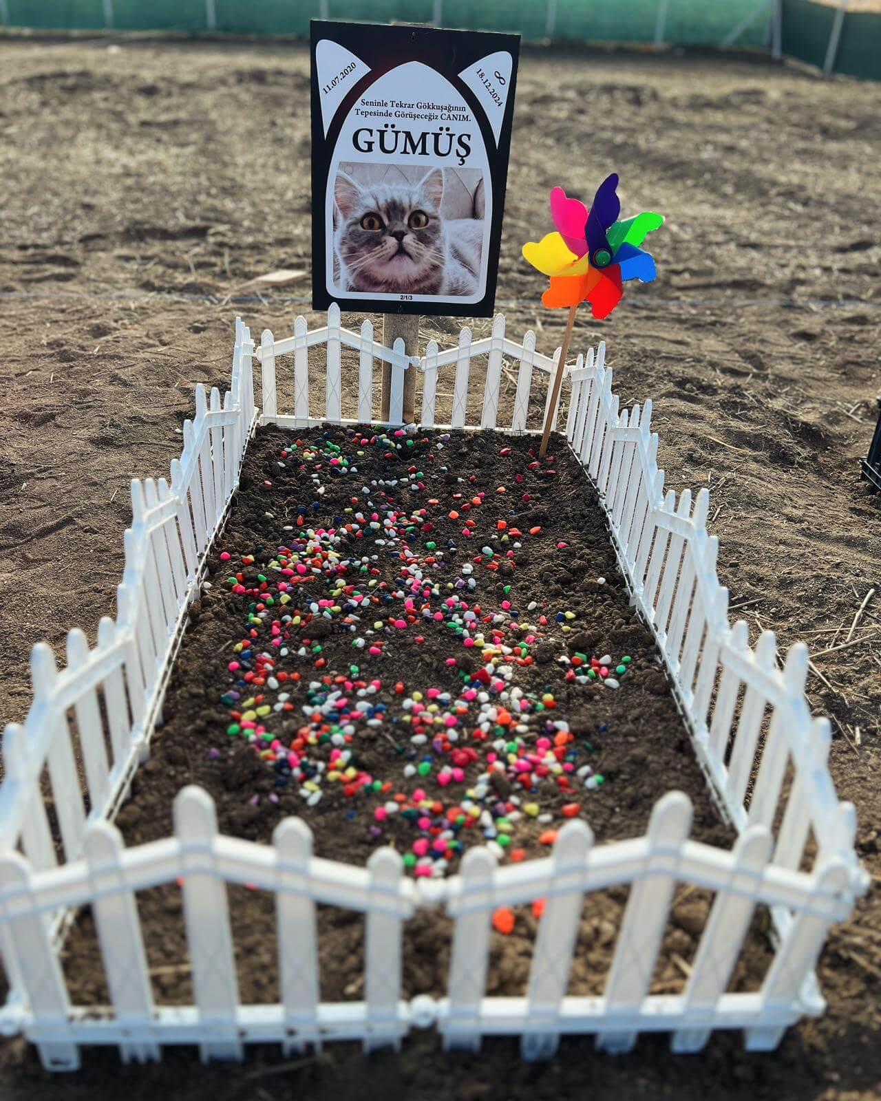 Gümüş isimli kedinin mezarlığı