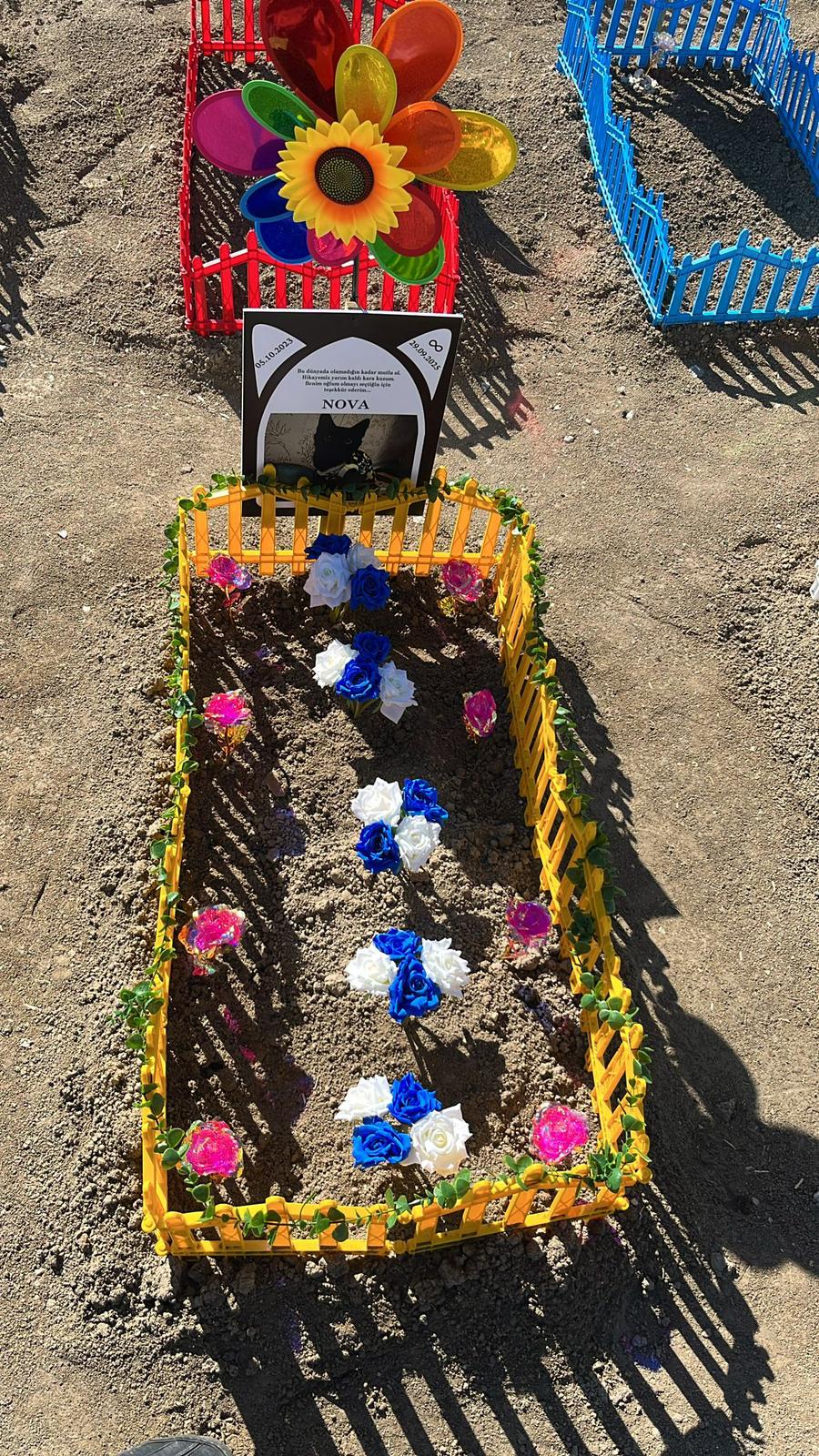 Ankara evcil hayvan mezarlığı