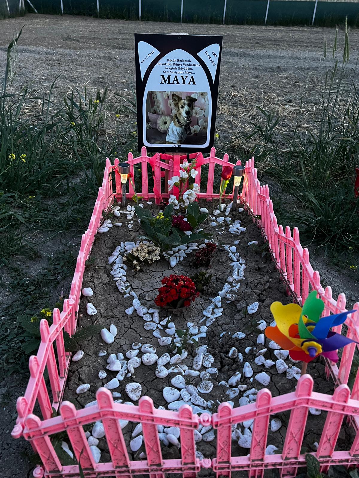 Ankara evcil hayvan mezarlığı