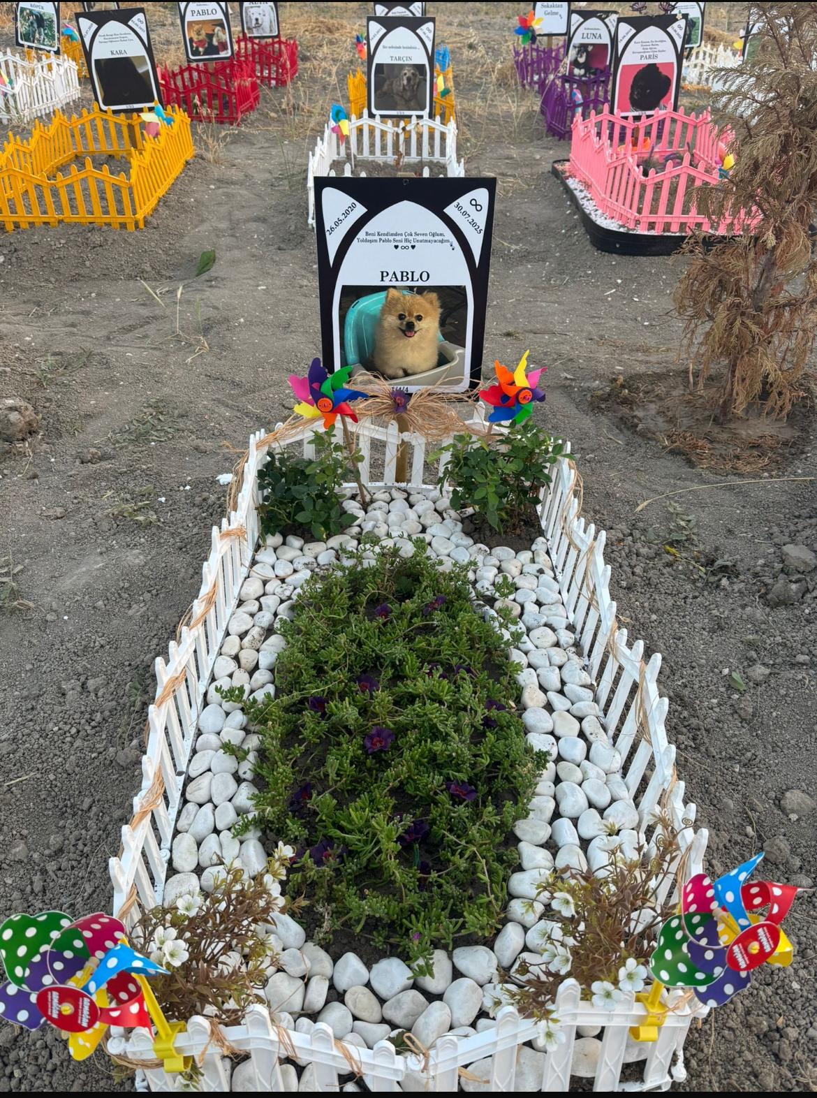 Ankara evcil hayvan mezarlığı