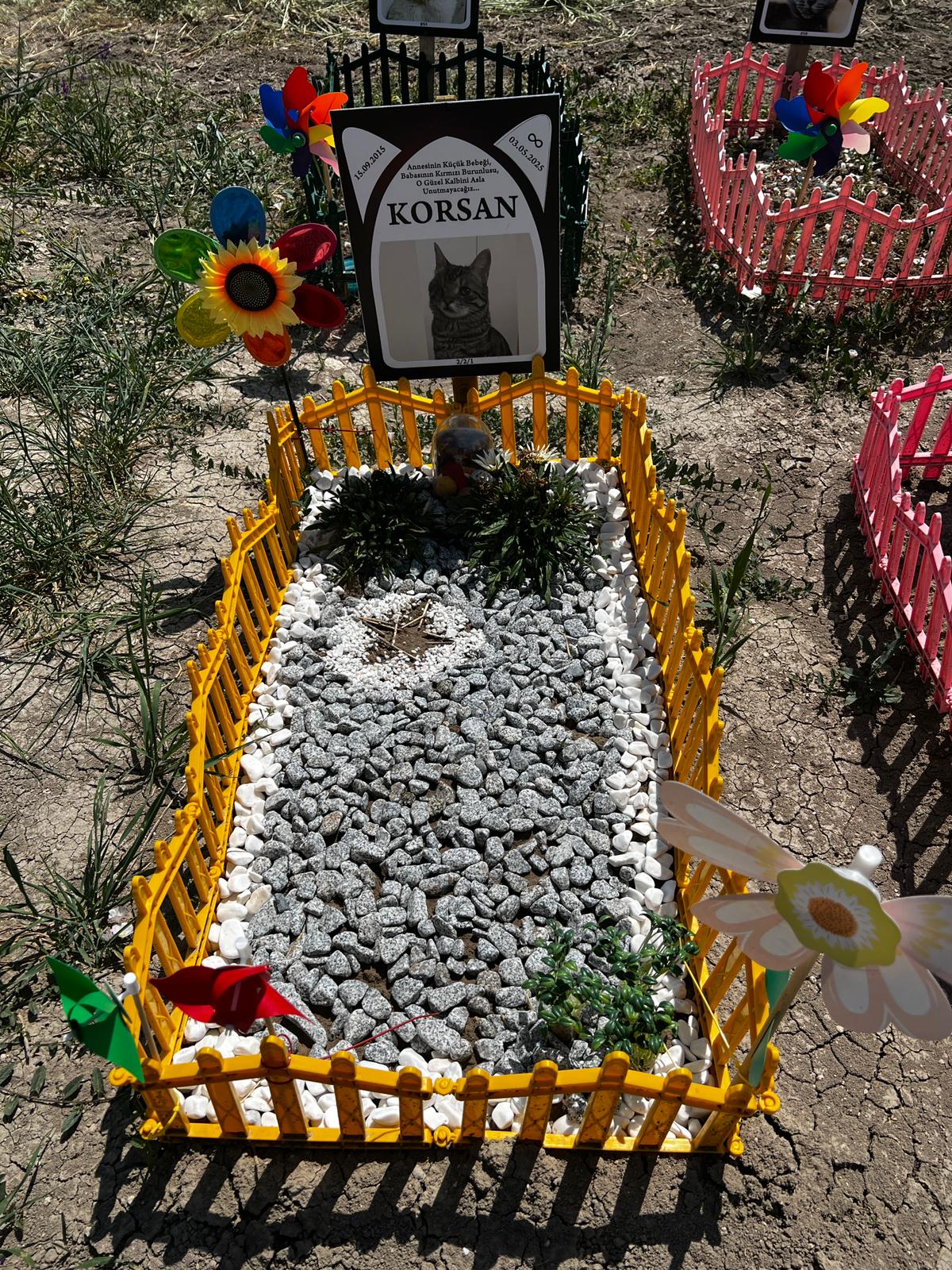 Ankara evcil hayvan mezarlığı