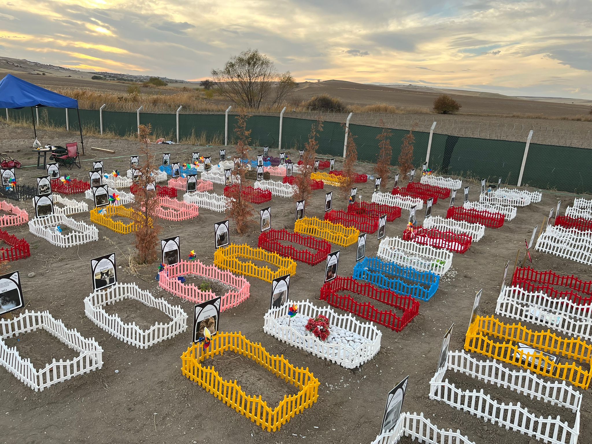 Ankara evcil hayvan mezarlığı