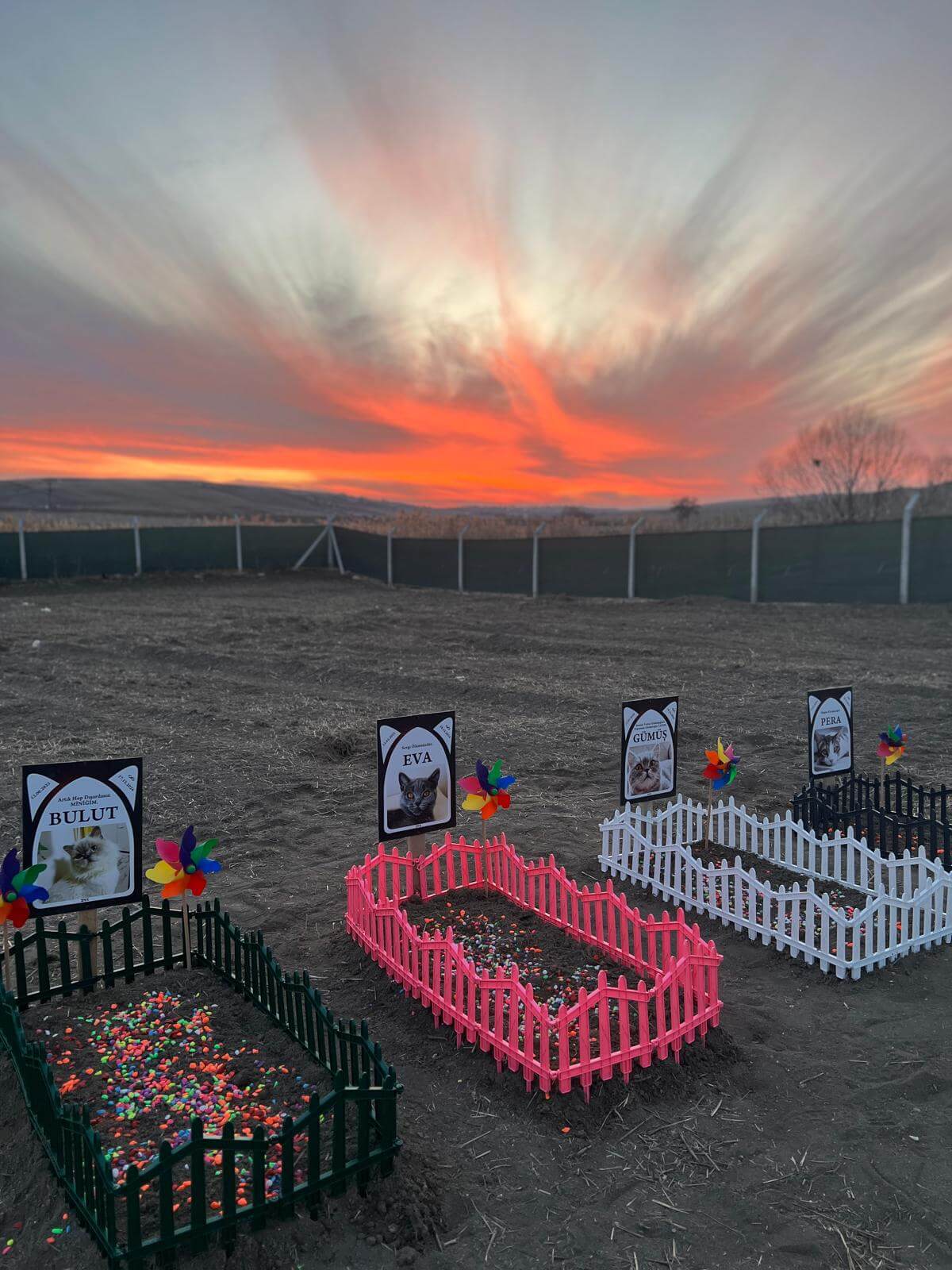 Gün batımında Ankara pet mezarlığı
